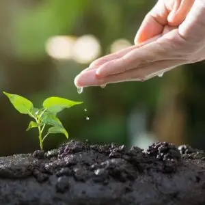 soil, plants, grow, agriculture, green, life, seed, tree, seeding, leaves, sprout, garden, environmental, ecology, growth, planting, spring, gardening, nature, soil, sprout, ecology, growth, growth, planting, planting, gardening, gardening, gardening, gardening, gardening